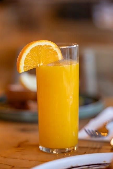 juicing for beginners pdf