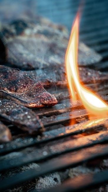 instruction manual for char broil grill