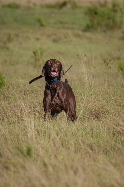 mini educator et-300 manual